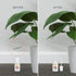 3 White Color Touch Up Paint Kit – Most Popular Home and Rental Colors with Brush in Bottle - For Repairs, Walls, Trim, Cabinets, Furniture, Shutt...
