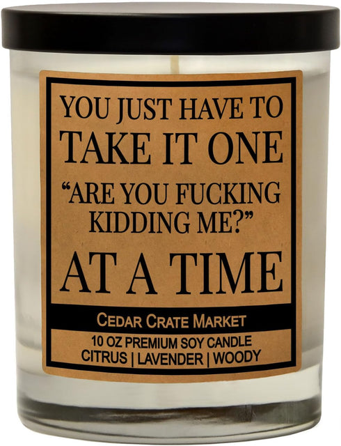 You Just Have to Take It, Funny Candles Gift for Women Friends Mom, BFF, Girlfriend, Boyfriend, Inappropriate Candles with Funny Sayings, Lavender...
