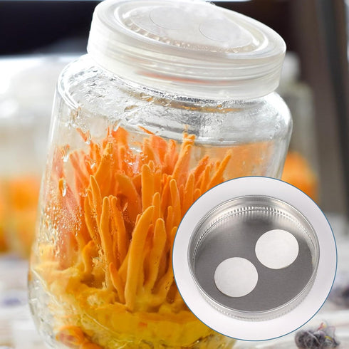Synthetic Filter Paper Stickers 96 Pcs 20 mm 0.25 µm Filter Disc Mushroom Applied Under Wide Mouth Jar Lid for Mushroom Cultivation...