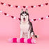 Fringe Studio Large Plush Dog Toy, Love Bug, Pet Shop Collection (289824)...