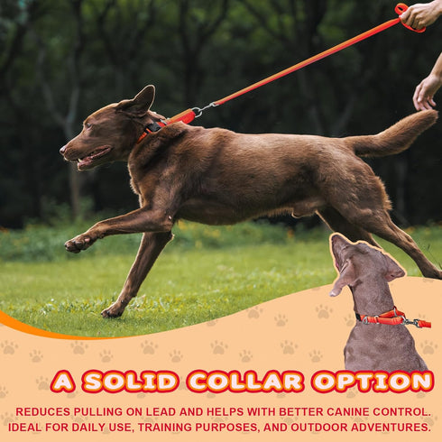 Martingale Dog Collar Light-reflective Polyester Collars for Dogs Whippets, Greyhounds, Saluki, American Bully, No-pull No-escape Safety Training ...