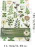 400PCS Plants Floral Scrapbook Stickers Kit Vintage Fern Flowers Green Transparent Waterproof Stickers Book for Scrapbooking Supplies Aesthetic Ju...