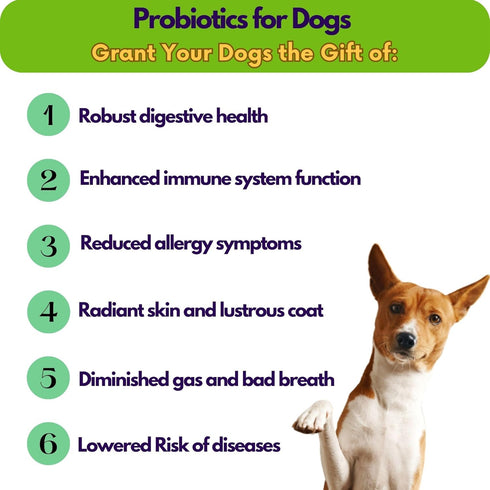 Avery's Holistic Paws Probiotic Dental Stick Treats for Dogs - 23 Peanut Butter Edible Dog Chews, 3 Inches Each - Natural & Organic Dog Chew Stick...