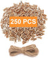 Mini Clothespins, Mini Natural Wooden Clothespins with Jute Twine, Multi-Function Clothespins Photo Paper Peg Pin Craft Clips (Natural 250 Pcs)...