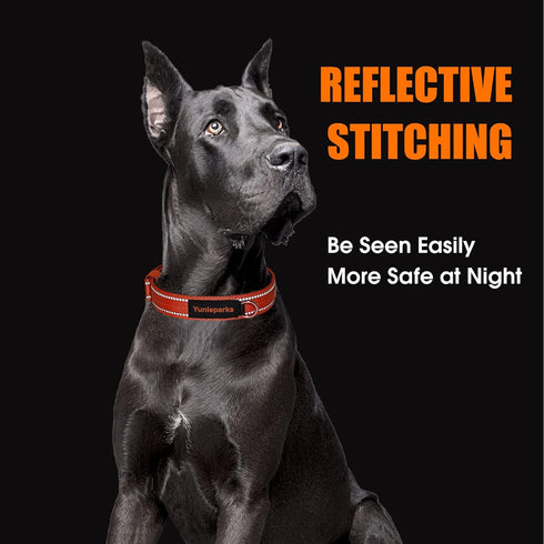 Neoprene Padded Dog Collar,Nylon Dog Collar for Small Medium Large Dogs,Heavy Duty Dog Collar with Metal Buckle,Adjustable Reflective Dog Collar (...