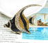 Gyn&Joy Golden Tone Topaz Crystal Rhinestones Enamel Sea Animal Tropical Ocean Fish Pin Brooch...