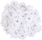 100 PCS Flower Applique Satin Ribbon Flowers Craft Mini Flowers Ribbon Flowers Hair Accessories Flower Embellishments White Graduation Cap Flowers...