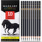 Professional Charcoal Pencils Drawing Set - 10 Pieces Soft Medium and Hard Charcoal Pencils for Drawing, Sketching, Shading...