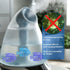16pcs Humidifier Tank Cleaner, 2.52x1.57x1.06 Inch Humidifier Cleaner Fish Demineralization Cleaning Ball Humidifier Filter Replacement for Protec...