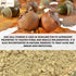 100% Natural Oak Gall Powder | Quercus Infectoria/Majuphal or Manjuphal - 0.5 lbs / 227 GMS...