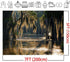 7x5ft Swamp Landscape Water Jungle Trees Woodland Forest Rainforest Backdrop Party Photography Studio Background...
