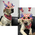 Dog Bandanas Classic Plaid Pet Scarf Triangle Bibs Kerchief Set Pet Costume Pet Accessories Set Bandana for Small Medium Large Dogs Cats (4th of J...