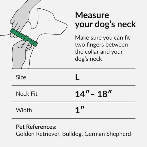 CollarDirect Purple Geometric Dog Collar, Pet Collar for Small Medium Large Dogs or Puppies with Quick Release Buckle, Yellow Orange Pattern, Adju...