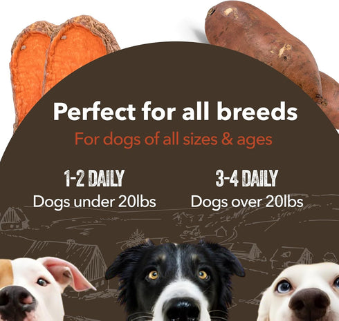 Gaines Family Farmstead Sweet Potato Chews, Dog Treats Made in The USA, High in Fiber, Grain Free, No Preservatives, Vegetarian Alternative to Raw...