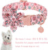 Valentine Dog Collar with Flower, Heart Flower Collar for Puppy Girl Boy Dog or Cat, Comfortable Dog Collar Flower with Durable Metal Buckle, Cute...