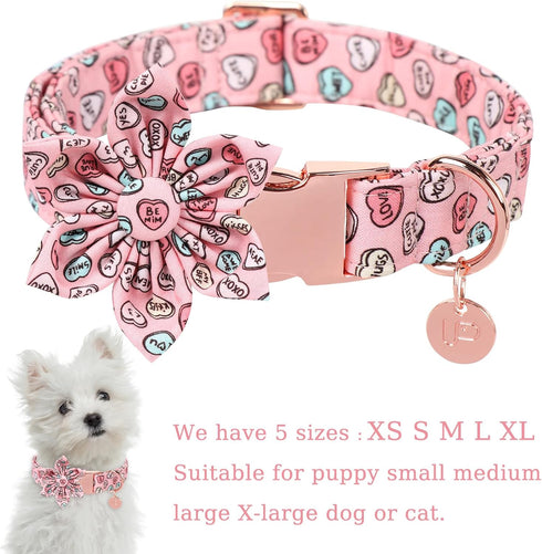 Valentine Dog Collar with Flower, Heart Flower Collar for Puppy Girl Boy Dog or Cat, Comfortable Dog Collar Flower with Durable Metal Buckle, Cute...