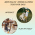 Dog Squeaky Toy, Indestructible Plush and Nylon Fabric Dog Puzzle Toy, Interactive Dog Toys...