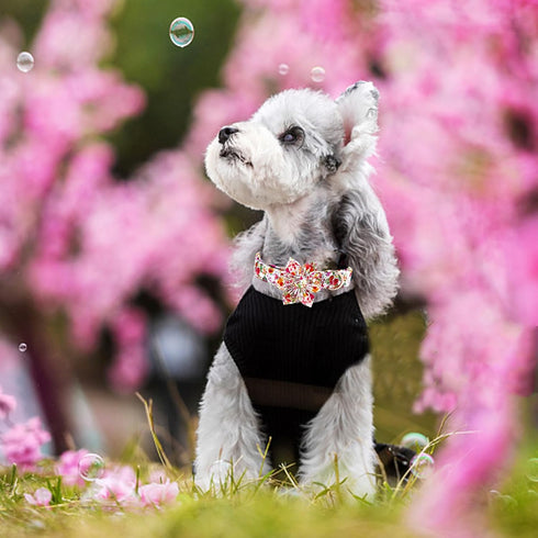 Elegant little tail Dog Collar with Flower, Floral Print Pet Collar Flower Dog Collar Summer Cute Dog Collar Adjustable Dog Collar for X-Large Dog...