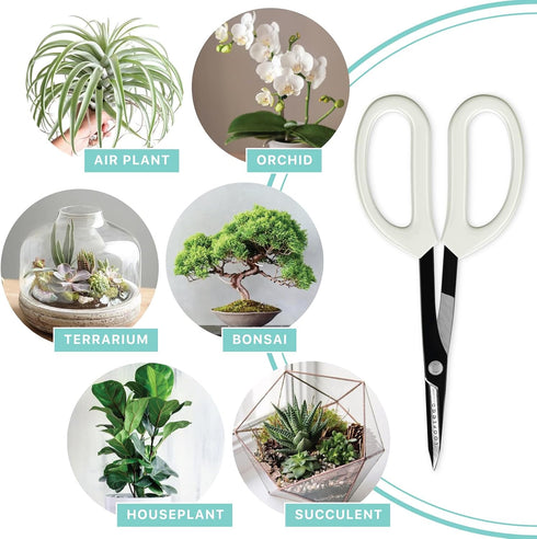 Precision Gardening Scissors Plant Trimming Pruning Shears Garden Pruners for Orchid Bonsai Hydroponic Garden Snip Flower Clipper Modern Garden To...