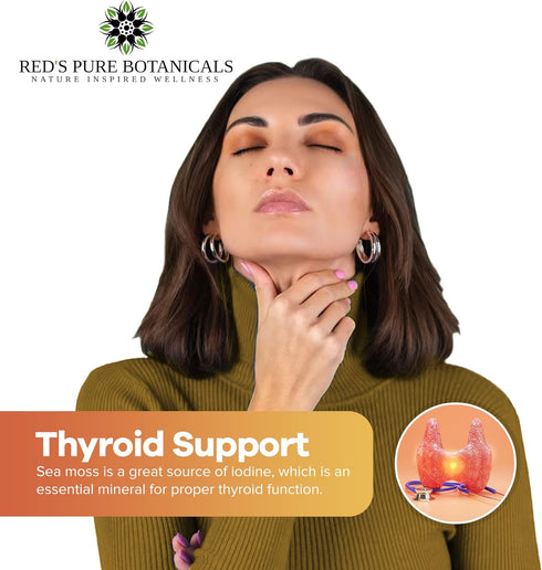 Wildcrafted Sea Moss - Healthy Irish, Raw Sea Moss from Rocks & Sea Beds of St. Lucia - 4oz Dry Makes 60-80oz Seamoss Gel - Hand-Harvested, Vegan ...