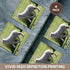 3dRose CST_22806_3 Skipping Sheep Golden Bay New Zeal & Ceramic Tile Coaster (Set of 4)...