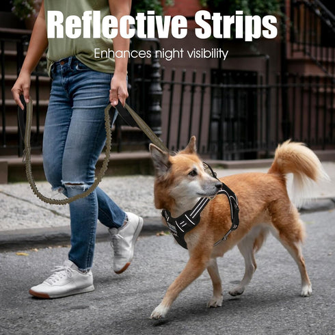 BUMBIN 6Ft Dog Leash Large Dogs, Bungee Dog Leash with 2 Handles, Heavy Duty Dog Leashes for Medium Small Dogs, No Pull Shock Absorbing Dog Leash ...