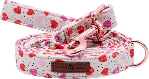 Lionet Paws Valentine's Day Dog Leash Matching Dog Collar for Small Medium Large Dog...