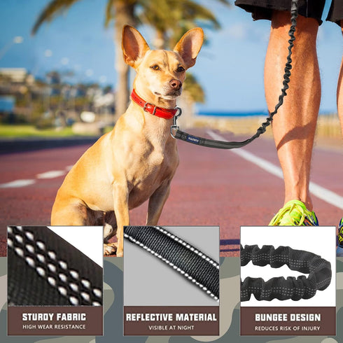 AUROTH Dog Leash, Heavy Duty Dog Leash Bungee, No Pull Dog Leash for Shock Absorption, Black Dog Training Leashes for Medium Large Breed Dogs 6FT,...