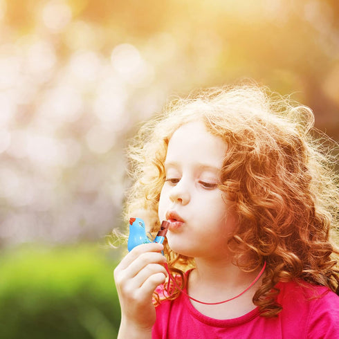 Bird Whistle 6PCS Ceramic Bird Whistles, Bird Water Whistles with Lanyards, Bird Noise Makers, Funny Bath Musical, Drawing Warbler Song Ceramic Wh...