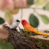 AUEAR, 4 Pack Bird Decorative Figurines Mini Fake Parrot Ornaments Simulated Parakeet Model for Home Garden Decoration...