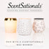 Scentsationals Wax Melts, Wax Cubes Strong Scent - Honeysuckle Nectar - Long Lasting Scented Melts for Warmer, 10oz (24-Cubes)...
