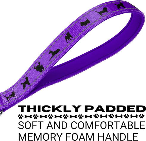 EcoBark Dog Leash - 4 FT / 5 FT / 6 FT Reflective Dog Leash- Eco-Bright Dog Leashes with Padded Handle - Strong Heavy Duty Dog Leash - Nylon Dog L...