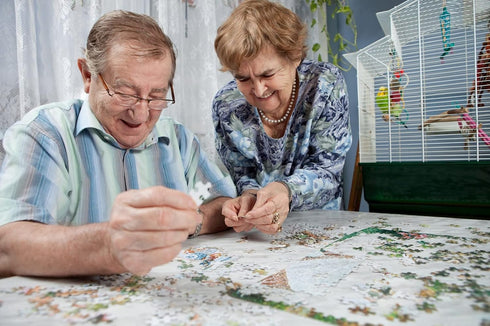 500 Piece Puzzles for Adults, Jigsaw Puzzles 500 Pieces for Adults,Wooden Puzzle for Adults,Halloween Puzzles, Christmas Puzzles, Easter Puzzles, ...