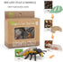 Bee Growth Life Cycle Insect Life Cycle Figurines of Bee, Bee Figurine Model Set with 4 Instruction Cards, Realistic Animal Growth Cycle Model, Ed...