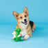 Fringe Studio Doyg Toy, Pool Side Rex, Latex, Pet Shop Collection (366011)...
