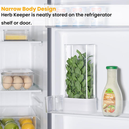vacane Herb Keeper for Refrigerator, Fresh Herb Saver Herb Storage Containers, Cilantro Container for Fridge Asparagus Container, Dishwasher Safe...