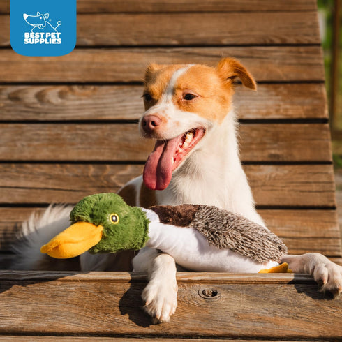 Best Pet Supplies Interactive Mallard Mates Dog Toy with Crinkle and Squeaky Enrichment for Small and Medium Breed Puppies or Dogs, Cute and Plush...