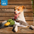 Best Pet Supplies Interactive Mallard Mates Dog Toy with Crinkle and Squeaky Enrichment for Small and Medium Breed Puppies or Dogs, Cute and Plush...