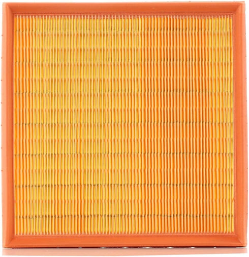 Mann Filter Mann-Filter C 2493 Air Filter...