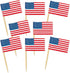 Beistle Packaged U S Flag Picks...