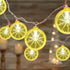 SUNSGNE Lemon LED Decorative String Lights Indoor, 8.5ft Outdoor Hanging String Lights with 10 LED Lemon, Plug in Warm White Fairy Light String fo...