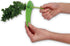 HIC Kitchen Herb Prepper Stripper Mezzaluna Chopper, BPA Free...