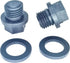 (2 Pack) SPX1700FG Pool Pump Pipe Plug with Gasket Replacements for Hayward Swimming Pool Maintenance Genuine Home Improvement Necessities...
