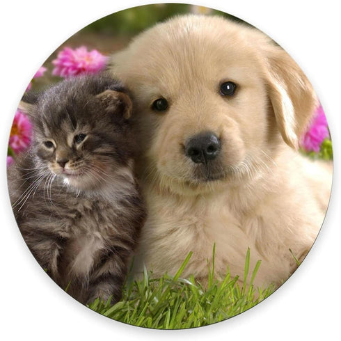 Gaming Round Mouse Pad Custom,Animals Cat Kitten Dog Golden Retriever Puppy Mouse Pad...