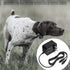 5V Charger for SportDOG Dog Remote Trainer Compatible with SportDOG SD-425 SD-425S SD-425CAMO and SD-825 SD-825X Remote Trainer Power Adapter...