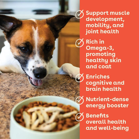 Pupford Freeze Dried Minnows for Dogs & Puppies - Healthy, Natural, Single Ingredient Dog Treats - Made in USA (1.5 oz)...