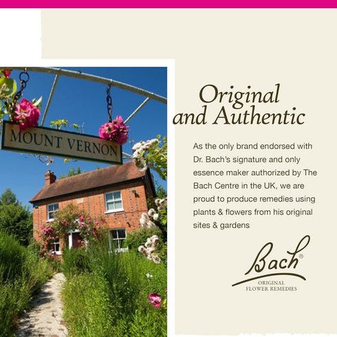 Bach Original Flower Remedies, Star of Bethlehem for Grief and Shock (Non-Alcohol Formula), Natural Homeopathic Flower Essence, Vegan, 10mL Droppe...