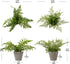 Briful 2PCS Fake Plants Potted Artificial Plants Greenery Faux Fern Eucalyptus Décor Plant for Indoor Home Office Bathroom Harmhouse Decoration...