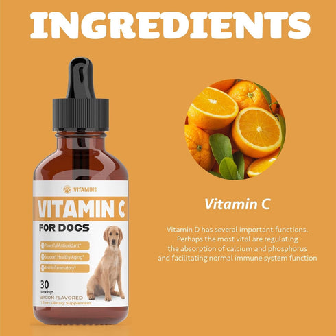 Vitamin C for Dogs | Helps with Improving Immune Health | Vitamin C for Dogs Liquid | Dog Immune Support | Dog Immune and Allergy Supplement | Dog...