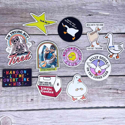 12PC Funny Magnets | Meme Refrigerator Magnet on Fridge Car Locker Magnetic Cute Fun Cool Sarcastic Anime Decorative Weird Silly Goose Little Cool...